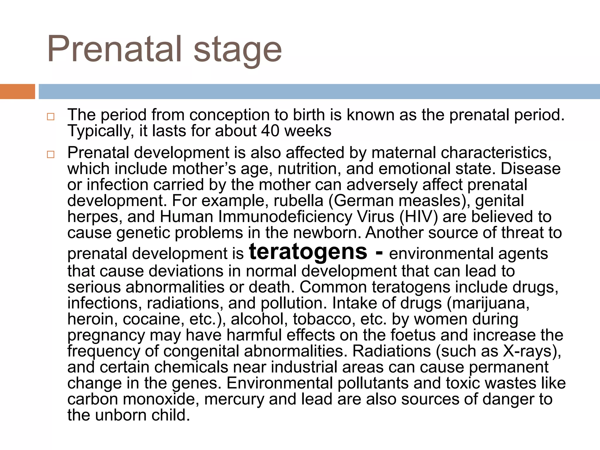 Prenatal stage
 The period from conception to birth is known as the prenatal period.
Typically, it lasts for about 40 weeks
 Prenatal development is also affected by maternal characteristics,
which include mother’s age, nutrition, and emotional state. Disease
or infection carried by the mother can adversely affect prenatal
development. For example, rubella (German measles), genital
herpes, and Human Immunodeficiency Virus (HIV) are believed to
cause genetic problems in the newborn. Another source of threat to
prenatal development is teratogens - environmental agents
that cause deviations in normal development that can lead to
serious abnormalities or death. Common teratogens include drugs,
infections, radiations, and pollution. Intake of drugs (marijuana,
heroin, cocaine, etc.), alcohol, tobacco, etc. by women during
pregnancy may have harmful effects on the foetus and increase the
frequency of congenital abnormalities. Radiations (such as X-rays),
and certain chemicals near industrial areas can cause permanent
change in the genes. Environmental pollutants and toxic wastes like
carbon monoxide, mercury and lead are also sources of danger to
the unborn child.
 
