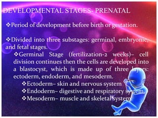 DEVELOPMENTAL STAGES- PRENATAL
Period of development before birth or gestation.
Divided into three substages: germinal, embryonic,
and fetal stages.
Germinal Stage (fertilization-2 weeks)– cell
division continues then the cells are developed into
a blastocyst, which is made up of three layers:
ectoderm, endoderm, and mesoderm.
Ectoderm– skin and nervous system
Endoderm– digestive and respiratory system.
Mesoderm– muscle and skeletal system.
 