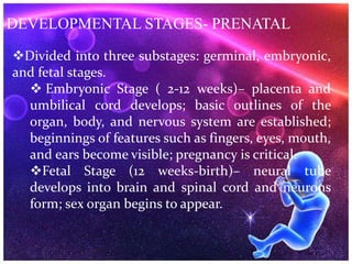 DEVELOPMENTAL STAGES- PRENATAL
Divided into three substages: germinal, embryonic,
and fetal stages.
 Embryonic Stage ( 2-12 weeks)– placenta and
umbilical cord develops; basic outlines of the
organ, body, and nervous system are established;
beginnings of features such as fingers, eyes, mouth,
and ears become visible; pregnancy is critical.
Fetal Stage (12 weeks-birth)– neural tube
develops into brain and spinal cord and neurons
form; sex organ begins to appear.
 