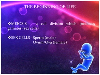 THE BEGINNING OF LIFE
MEIOSIS-- a cell division which produces
gametes (sex cells)
SEX CELLS– Sperm (male)
Ovum/Ova (female)
 