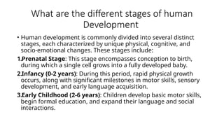 Comprehensive Overview of Human Development Across the Lifespan | PPTX