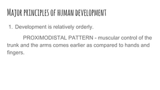 Majorprinciplesofhumandevelopment
1. Development is relatively orderly.
PROXIMODISTAL PATTERN - muscular control of the
trunk and the arms comes earlier as compared to hands and
fingers.
 