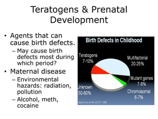 Teratogens & Prenatal
Development
• Agents that can
cause birth defects.
– May cause birth
defects most during
which period?
• Maternal disease
– Environmental
hazards: radiation,
pollution
– Alcohol, meth,
cocaine
 