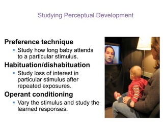 Studying Perceptual Development
Preference technique
 Study how long baby attends
to a particular stimulus.
Habituation/dishabituation
 Study loss of interest in
particular stimulus after
repeated exposures.
Operant conditioning
 Vary the stimulus and study the
learned responses.
 