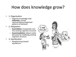 How does knowledge grow?
• 1. Organization:
– Organize knowledge with
schemata, mental
representations/organized
patterns of behavior
• 2. Adaptation
– Assimilation: Incorporate new
into existing cognitive structure
– Accommodation: Adjust reality
demands by modfiying existing
cognitive structure
• 3. Equilibration
– Need/striving toward
equilibrium
 