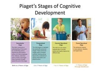 Piaget’s Stages of Cognitive
Development
 