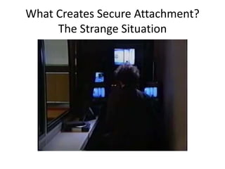 What Creates Secure Attachment?
The Strange Situation
 