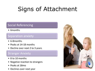 Signs of Attachment
Social Referencing
• 6months
Separation anxiety
• 6-8months
• Peaks at 14-18 months
• Decline over next 2 to 3 years
Stranger Anxiety
• 8 to 10 months
• Negative reaction to strangers
• Peaks at 18mo
• Declines over next year
 