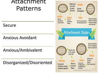 Attachment
Patterns
Secure
Anxious Avoidant
Anxious/Ambivalent
Disorganized/Disoriented
 