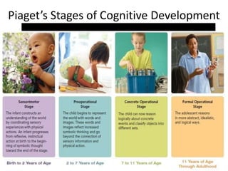 Piaget’s Stages of Cognitive Development
 