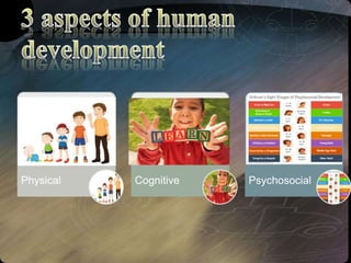 Physical Cognitive Psychosocial
 