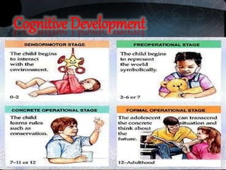 Cognitive Development
 
