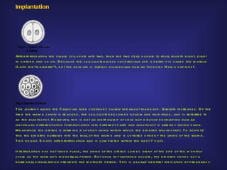Implantation




Afte r fe rtilis ation th e s ingle ce ll s p lits into two, th e n th e two ce lls d ou b le to fou r, fou r to e igh t, e igh t
to s ixte e n and s o on. B e cau s e th e ce ll clu s te r looks s u p e rficially like a b e rry it is calle d th e m oru la
(Latin for "m u lb e rry"), b u t th e ne w life is always b iologically h u m an (s p e cie s H om o s ap ie ns ).




Th e j rne y along th e F allop ian tu b e continu e s s lowly for ab ou t fou r d ays . G rowth incre as e s . By th e
       ou
tim e th e wom b cavity is re ach e d , th e ce ll clu s te r b e com e s h ollow and flu id -fille d , and is re fe rre d to
as th e b las tocys t. H owe ve r, th is is not an ine rt clu m p of ce lls b u t a b u s ily d e ve lop ing h u m an
ind ivid u al: d iffe re ntiation (organis ation into d iffe re nt p arts and fu nctions ) is alre ad y taking p lace .
Me anwh ile th e u te ru s is form ing a s p ongy lining with in wh ich th e e m b ryo will im p lant. To ach ie ve
th is th e e m b ryo b u rro ws into th e wall of th e wom b and is cove re d ove r b y th e lining of th e wom b .
Th is b e gins 6 d ays afte r fe rtilis ation and is com p le te d with in th e ne xt 7 d ays .

If fe rtilis ation h as not take n p lace , th e lining of th e u te ru s com e s away at th e e nd of th e m onth ly
cycle as th e wom an's m e ns tru al p e riod . Bu t once im p lantation occu rs , th e e m b ryo s e nd s ou t a
h orm onal s ignal wh ich p re ve nts th e m oth e r's p e rio d . Th is is u s u ally h e r firs t ind ication of p re gnancy.
 