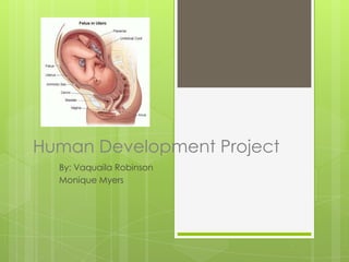 Human Development Project
  By: Vaquaila Robinson
  Monique Myers
 