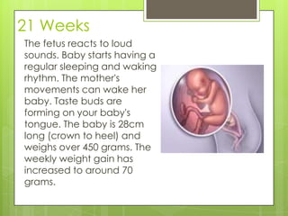 21 Weeks
The fetus reacts to loud
sounds. Baby starts having a
regular sleeping and waking
rhythm. The mother's
movements can wake her
baby. Taste buds are
forming on your baby's
tongue. The baby is 28cm
long (crown to heel) and
weighs over 450 grams. The
weekly weight gain has
increased to around 70
grams.
 