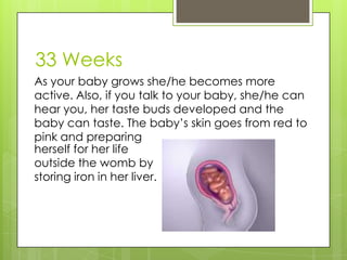 33 Weeks
As your baby grows she/he becomes more
active. Also, if you talk to your baby, she/he can
hear you, her taste buds developed and the
baby can taste. The baby’s skin goes from red to
pink and preparing
herself for her life
outside the womb by
storing iron in her liver.
 