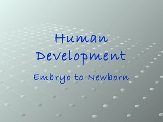 Human
Development
Embryo to Newborn
 