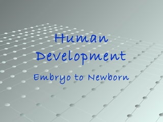 Human 
Development 
Embryo to Newborn 
 