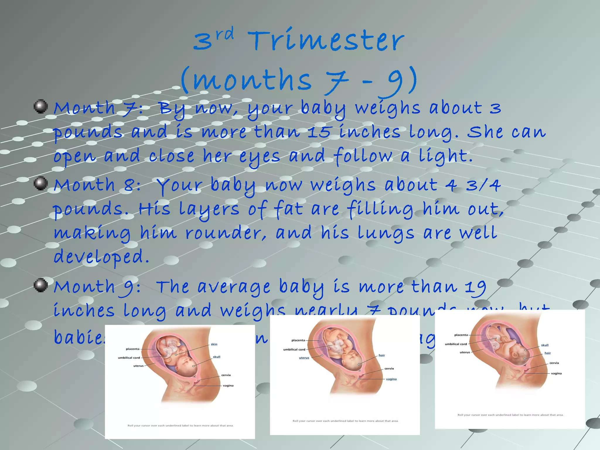 3rd Trimester 
(months 7 - 9) 
Month 7: By now, your baby weighs about 3 
pounds and is more than 15 inches long. She can 
open and close her eyes and follow a light. 
Month 8: Your baby now weighs about 4 3/4 
pounds. His layers of fat are filling him out, 
making him rounder, and his lungs are well 
developed. 
Month 9: The average baby is more than 19 
inches long and weighs nearly 7 pounds now, but 
babies vary widely in size at this stage 
 