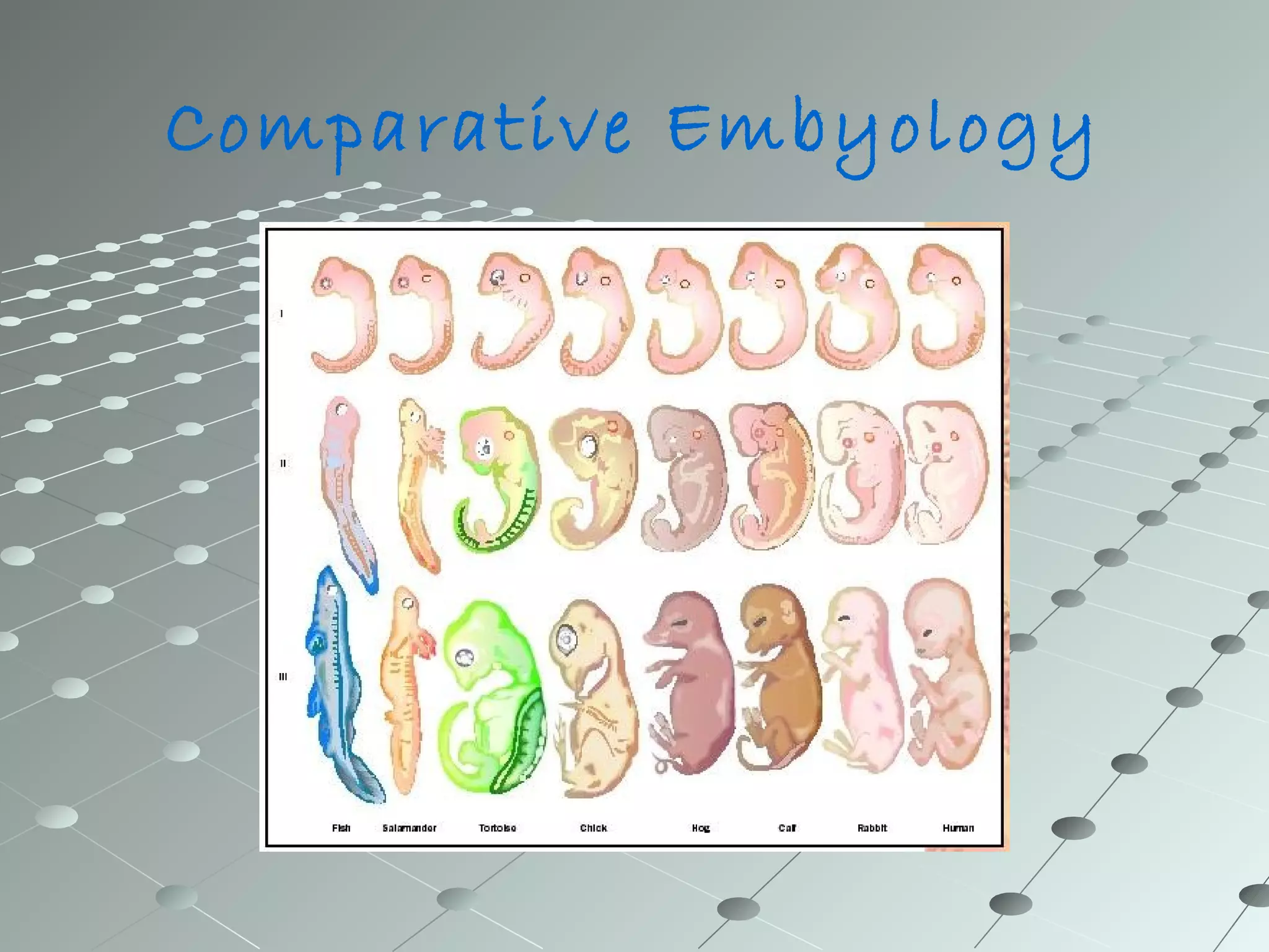 Comparative Embyology 
 