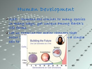 Human Development
GSE: Humans are similar to many species
in many ways, yet unique among Earth’s
life forms.
Let us examine the major changes that
occur in human development from a single
cell to birth
 