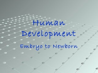 Human
Development
Embryo to Newborn
 