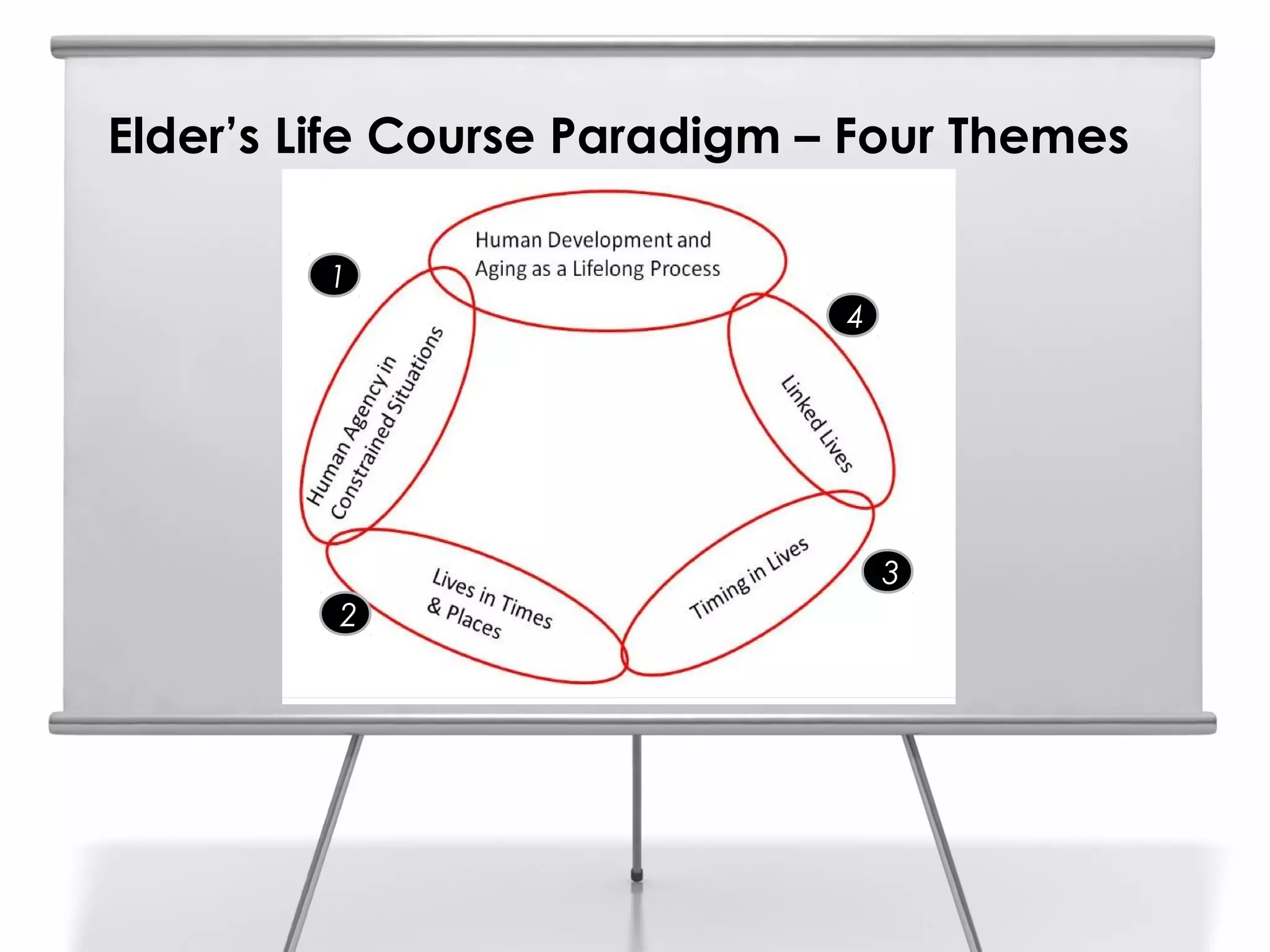 Elder’s Life Course Paradigm – Four Themes

         1
                              4




                                  3
         2
 
