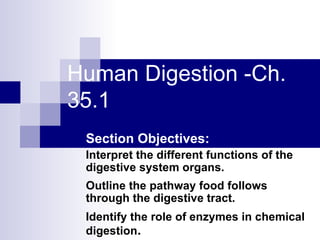 Human Digestion -Ch. 35.1 Section Objectives: Interpret the different functions of the digestive system organs. Outline the pathway food follows through the digestive tract. Identify the role of enzymes in chemical digestion . 