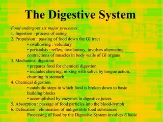 The Digestive System Food undergoes six major processes: 1. Ingestion : process of eating 2. Propulsion : passing of food ...