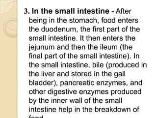 3. In the small intestine - After
 being in the stomach, food enters
 the duodenum, the first part of the
 small intestine. It then enters the
 jejunum and then the ileum (the
 final part of the small intestine). In
 the small intestine, bile (produced in
 the liver and stored in the gall
 bladder), pancreatic enzymes, and
 other digestive enzymes produced
 by the inner wall of the small
 intestine help in the breakdown of
 