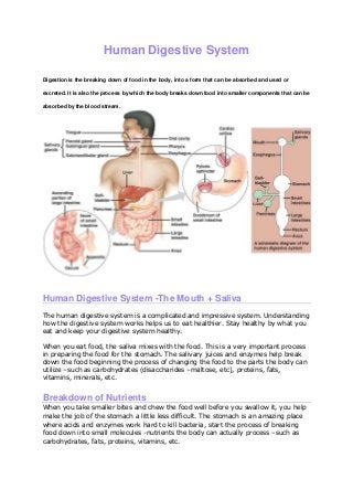 Human Digestive System
Digestion is the breaking down of food in the body, into a form that can be absorbed and used or
excreted. It is also the process by which the body breaks down food into smaller components that can be
absorbed by the blood stream.
Human Digestive System -The Mouth + Saliva
The human digestive system is a complicated and impressive system. Understanding
how the digestive system works helps us to eat healthier. Stay healthy by what you
eat and keep your digestive system healthy.
When you eat food, the saliva mixes with the food. This is a very important process
in preparing the food for the stomach. The salivary juices and enzymes help break
down the food beginning the process of changing the food to the parts the body can
utilize –such as carbohydrates (disaccharides –maltose, etc), proteins, fats,
vitamins, minerals, etc.
Breakdown of Nutrients
When you take smaller bites and chew the food well before you swallow it, you help
make the job of the stomach a little less difficult. The stomach is an amazing place
where acids and enzymes work hard to kill bacteria, start the process of breaking
food down into small molecules -nutrients the body can actually process –such as
carbohydrates, fats, proteins, vitamins, etc.
 