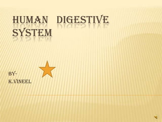 HUMAN DIGESTIVE
SYSTEM
BY-
K.VINEEL
 