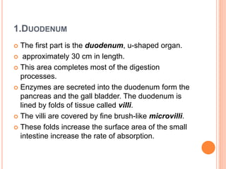 1.DUODENUM
 The first part is the duodenum, u-shaped organ.
 approximately 30 cm in length.
 This area completes most of the digestion
processes.
 Enzymes are secreted into the duodenum form the
pancreas and the gall bladder. The duodenum is
lined by folds of tissue called villi.
 The villi are covered by fine brush-like microvilli.
 These folds increase the surface area of the small
intestine increase the rate of absorption.
 