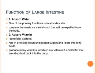 FUNCTION OF LARGE INTESTINE
 1. Absorb Water
 One of the primary functions is to absorb water
 prepare the waste as a solid stool that will be expelled from
the body.
 2. Absorb Vitamin
 beneficial bacteria
 role in breaking down undigested sugars and fibers into fatty
acids.
 produce many vitamins, of which are Vitamin K and Biotin that
are absorbed back into the body.
 