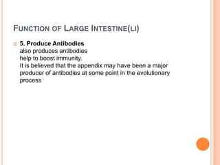 FUNCTION OF LARGE INTESTINE(LI)
 5. Produce Antibodies
also produces antibodies
help to boost immunity.
It is believed that the appendix may have been a major
producer of antibodies at some point in the evolutionary
process
 