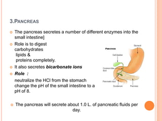 3.PANCREAS
 The pancreas secretes a number of different enzymes into the
small intestine]
 Role is to digest
carbohydrates
lipids &
proteins completely.
 It also secretes bicarbonate ions
 Role :
neutralize the HCl from the stomach
change the pH of the small intestine to a
pH of 8.
 The pancreas will secrete about 1.0 L. of pancreatic fluids per
day.
 