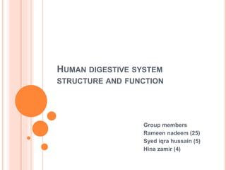 HUMAN DIGESTIVE SYSTEM
STRUCTURE AND FUNCTION
Group members
Rameen nadeem (25)
Syed iqra hussain (5)
Hina zamir (4)
 