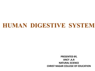 HUMAN DIGESTIVE SYSTEM
PRESENTED BY,
ANCY .A.R
NATURAL SCIENCE
CHRIST NAGAR COLLEGE OF EDUCATION
 