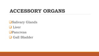 ACCESSORY ORGANS
Salivary Glands
 Liver
Pancreas
 Gall Bladder
 