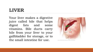 LIVER
Your liver makes a digestive
juice called bile that helps
digest fats and some
vitamins. Bile ducts carry
bile from your liver to your
gallbladder for storage, or to
the small intestine for use.
 