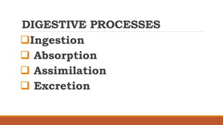 DIGESTIVE PROCESSES
Ingestion
 Absorption
 Assimilation
 Excretion
 