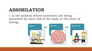 ASSIMILATION
 is the process where nutrients are being
absorbed by each cell of the body in the form of
energy.
 