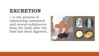 EXCRETION
 is the process of
eliminating unwanted
and excess substances
from the body after the
food has been digested.
 