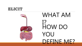 ELICIT
WHAT AM
I?
HOW DO
YOU
DEFINE ME?
 