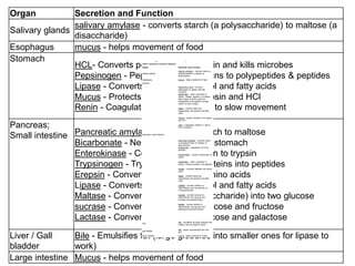 11/2/2022 18
Organ Secretion and Function
Salivary glands
salivary amylase - converts starch (a polysaccharide) to maltose (a
disaccharide)
Esophagus mucus - helps movement of food
Stomach
HCL- Converts pepsinogen to pepsin and kills microbes
Pepsinogen - Pepsin, digests proteins to polypeptides & peptides
Lipase - Converts lipids into glycerol and fatty acids
Mucus - Protects stomach from pepsin and HCl
Renin - Coagulates proteins in milk to slow movement
Pancreas;
Small intestine Pancreatic amylase - Converts starch to maltose
Bicarbonate - Neutralizes HCl from stomach
Enterokinase - Converts trypsinogen to trypsin
Trypsinogen - Trypsin, converts proteins into peptides
Erepsin - Converts peptides into amino acids
Lipase - Converts lipids into glycerol and fatty acids
Maltase - Converts maltose (a disaccharide) into two glucose
sucrase - Converts sucrose into glucose and fructose
Lactase - Converts lactose into glucose and galactose
Liver / Gall
bladder
Bile - Emulsifies fat (large globules into smaller ones for lipase to
work)
Large intestine Mucus - helps movement of food
Table 2: Substances Involved in Digestion
Organ Secretion and Function
salivary glands
salivary amylase - converts starch (a
polysaccharide) to maltose (a
disaccharide)
esophagus mucus - helps movement of food
stomach
hydrochloric acid - converts
pepsinogen to pepsin and kills
microbes
pepsinogen - when converted to
pepsin, initiates digestion of proteins
(long chains of amino acids) to
polypeptides and peptides (shorter
chains of amino acids)
lipase - converts lipids (eg.
triglycerides) into glycerol and fatty
acids
mucus - protects stomach from pepsin
and HCl
renin - coagulates proteins in milk to
slow movement
pancreas; small intestine
pancreatic amylase - converts starch
(a polysaccharide) to maltose (a
disaccharide)
bicarbonate - neutralizes HCl from
stomach
enterokinase - converts trypsinogen to
trypsin
trypsinogen - when converted to
trypsin, converts proteins into peptides
erepsin - converts peptides into amino
acids
lipase - converts lipids (eg.
triglycerides) into glycerol and fatty
acids
maltase - convets maltose (a
disaccharide) into two glucose (a
monosaccharide)
sucrase - convets sucrose (a
disaccharide) into glucose and
fructose (monosaccharides)
lactase - convets lactose (a
disaccharide) into glucose and
galactose(monosaccharides)
liver
bile - emulsifies fat (large globules into
smaller ones for lipase to work)
gall bladder
bile - stores concentrated bile from
liver
large intestine mucus - helps movement of food
 