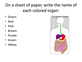 On a sheet of paper, write the name of
each colored organ:
• Green:
• Red:
• Pink:
• Brown:
• Purple:
• Green:
• Yellow:
 