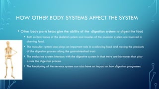 HOW OTHER BODY SYSTEMS AFFECT THE SYSTEM
• Other body parts helps give the ability of the digestion system to digest the food
• Both certain bones of the skeletal system and muscles of the muscular system are involved in
chewing food.
• The muscular system also plays an important role in swallowing food and moving the products
of the digestion process along the gastrointestinal tract
• The endocrine system interacts with the digestive system in that there are hormones that play
a role the digestion process
• The functioning of the nervous system can also have an impact on how digestion progresses.
 