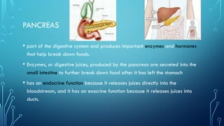 PANCREAS
• part of the digestive system and produces important enzymes and hormones
that help break down foods.
• Enzymes, or digestive juices, produced by the pancreas are secreted into the
small intestine to further break down food after it has left the stomach
• has an endocrine function because it releases juices directly into the
bloodstream, and it has an exocrine function because it releases juices into
ducts.
 