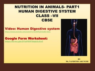 NUTRITION IN ANIMALS- PART1
HUMAN DIGESTIVE SYSTEM
CLASS –VII
CBSE
Video: Human Digestive system
https://www.youtube.com/watch?v=O1AtPbj3rGw&t=631s
Google Form Worksheet:
https://forms.gle/2YtzP8VF5dqh2cXu5
BY
Ms. NANDITHAAKUNURI
 