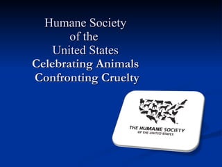 Humane Society  of the   United States   Celebrating Animals  Confronting Cruelty 